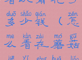 蘑菇街怎么看以前花了多少钱(怎么看在蘑菇街一共花了多少钱)