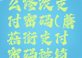 蘑菇街怎么修改支付密码(蘑菇街支付密码被锁定怎么办)