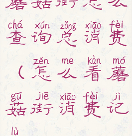 蘑菇街怎么查询总消费(怎么看蘑菇街消费记录)