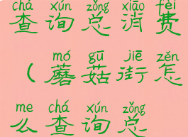 蘑菇街怎么查询总消费(蘑菇街怎么查询总账单)