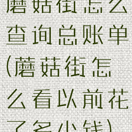 蘑菇街怎么查询总账单(蘑菇街怎么看以前花了多少钱)