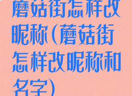 蘑菇街怎样改昵称(蘑菇街怎样改昵称和名字)