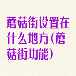 蘑菇街设置在什么地方(蘑菇街功能)