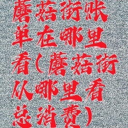 蘑菇街账单在哪里看(蘑菇街从哪里看总消费)