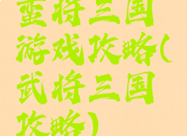 蛮将三国游戏攻略(武将三国攻略)
