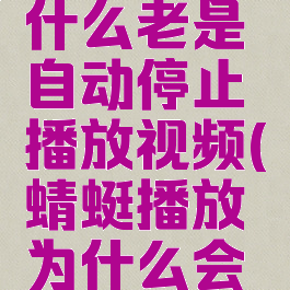 蜻蜓fm为什么老是自动停止播放视频(蜻蜓播放为什么会停)