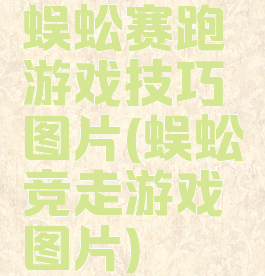 蜈蚣赛跑游戏技巧图片(蜈蚣竞走游戏图片)