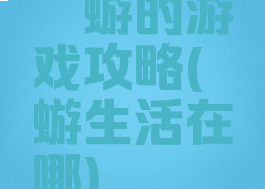 蜉蝣的游戏攻略(蜉蝣生活在哪)