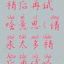 请求太多,稍后再试啥意思(请求太多稍后再试啥意思)