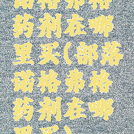 诺格弗格药剂在哪里买(部落诺格弗格药剂在哪里买)