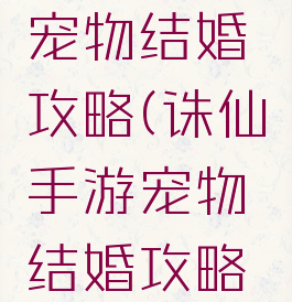 诛仙手游宠物结婚攻略(诛仙手游宠物结婚攻略大全)