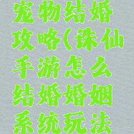 诛仙手游宠物结婚攻略(诛仙手游怎么结婚婚姻系统玩法介绍)