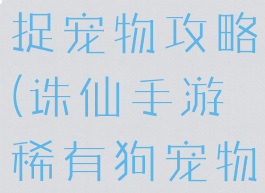 诛仙手游扑捉宠物攻略(诛仙手游稀有狗宠物捕捉攻略)