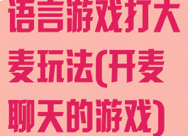 语言游戏打大麦玩法(开麦聊天的游戏)