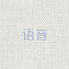 语音