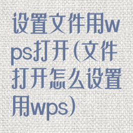 设置文件用wps打开(文件打开怎么设置用wps)