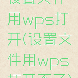 设置文件用wps打开(设置文件用wps打开不了)