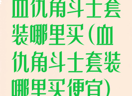 血仇角斗士套装哪里买(血仇角斗士套装哪里买便宜)