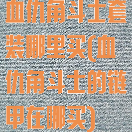 血仇角斗士套装哪里买(血仇角斗士的链甲在哪买)