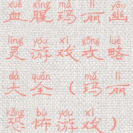 血腥玛丽幽灵游戏攻略大全(玛丽恐怖游戏)