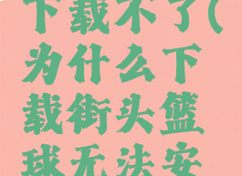 街头篮球下载不了(为什么下载街头篮球无法安装)