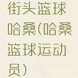 街头篮球哈桑(哈桑篮球运动员)