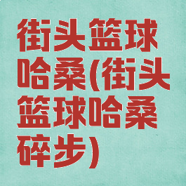 街头篮球哈桑(街头篮球哈桑碎步)