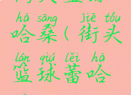 街头篮球哈桑(街头篮球蕾哈娜)