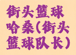 街头篮球哈桑(街头篮球队长)