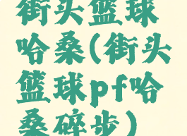 街头篮球哈桑(街头篮球pf哈桑碎步)