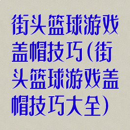 街头篮球游戏盖帽技巧(街头篮球游戏盖帽技巧大全)