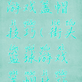 街头篮球游戏盖帽技巧(街头篮球游戏盖帽技巧视频)