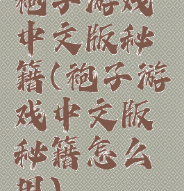 袍子游戏中文版秘籍(袍子游戏中文版秘籍怎么用)