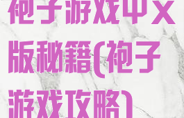 袍子游戏中文版秘籍(袍子游戏攻略)