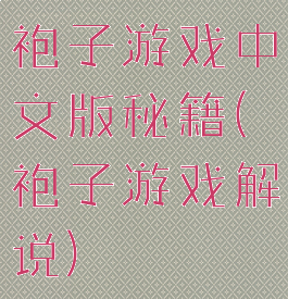 袍子游戏中文版秘籍(袍子游戏解说)