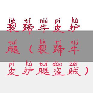 裂蹄牛皮护腿(裂蹄牛皮护腿盗贼)
