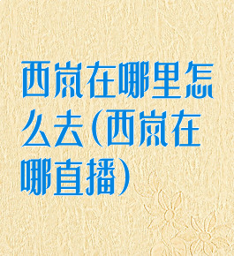 西岚在哪里怎么去(西岚在哪直播)