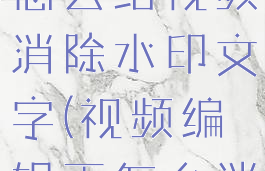 视频编辑王怎么给视频消除水印文字(视频编辑王怎么消音)