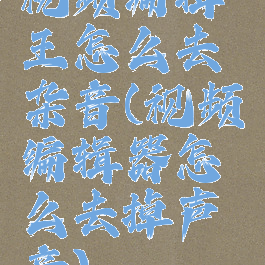 视频编辑王怎么去杂音(视频编辑器怎么去掉声音)