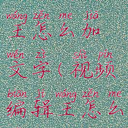 视频编辑王怎么加文字(视频编辑王怎么剪辑)