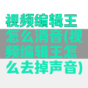 视频编辑王怎么消音(视频编辑王怎么去掉声音)