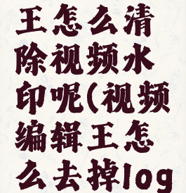 视频编辑王怎么清除视频水印呢(视频编辑王怎么去掉logo)