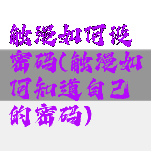 触漫如何设密码(触漫如何知道自己的密码)