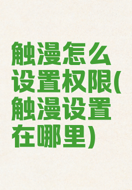 触漫怎么设置权限(触漫设置在哪里)
