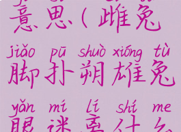 迷离什么意思(雌兔脚扑朔雄兔眼迷离什么意思)