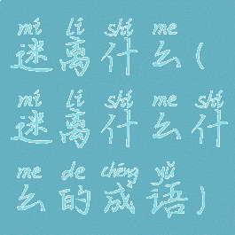 迷离什么(迷离什么什么的成语)