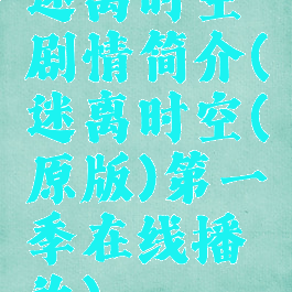 迷离时空剧情简介(迷离时空(原版)第一季在线播放)