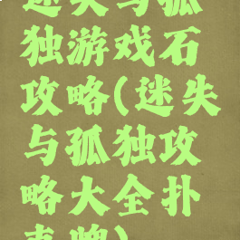 迷失与孤独游戏石攻略(迷失与孤独攻略大全扑克牌)