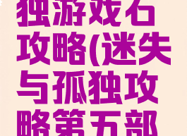迷失与孤独游戏石攻略(迷失与孤独攻略第五部分)