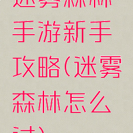 迷雾森林手游新手攻略(迷雾森林怎么过)